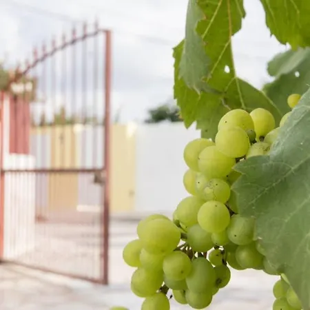 Casa Do Moleiro Prázdninový dům *
